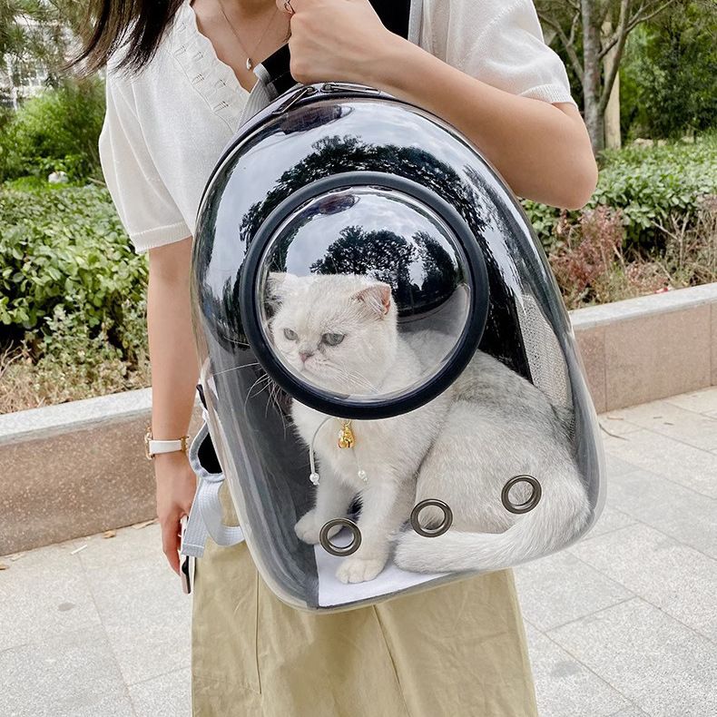 Pet space capsule carrier from Chinese supplier