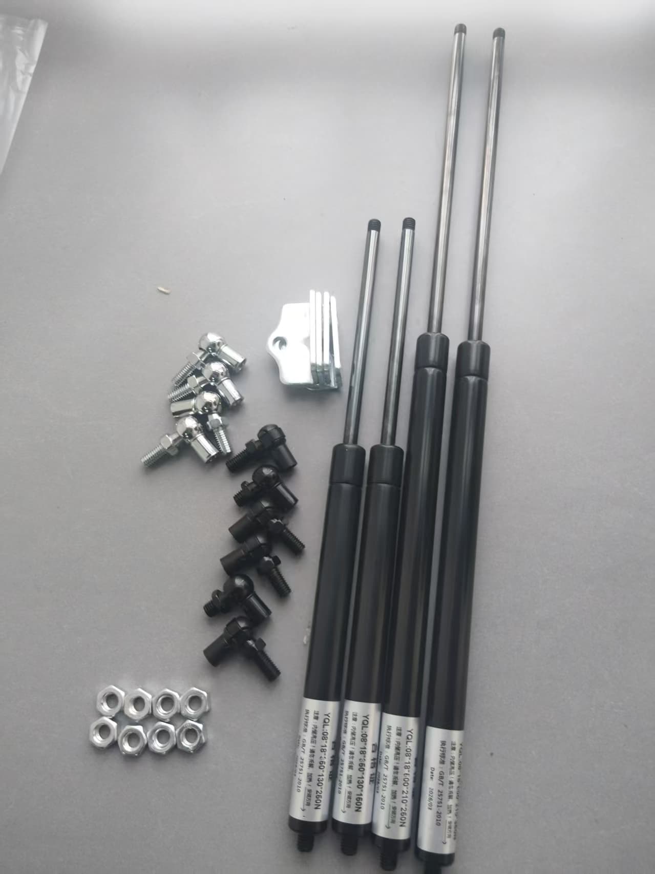 Supplier audit